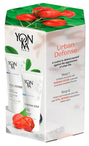 Beauty Box URBAN DEFENSE